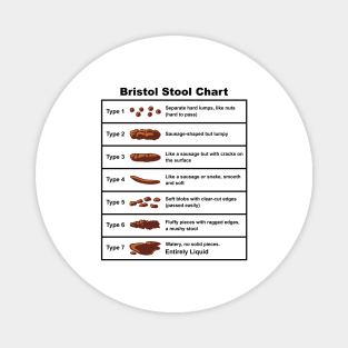 Bristol Stool Chart Magnet